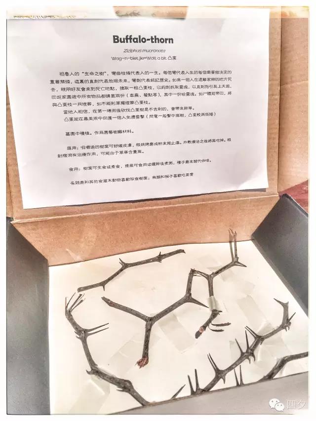 微信图片_20170623103349.jpg