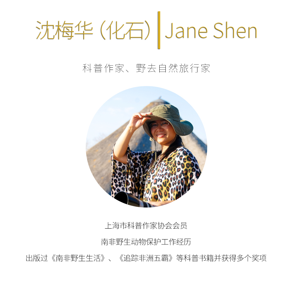 沈梅华介绍.jpg