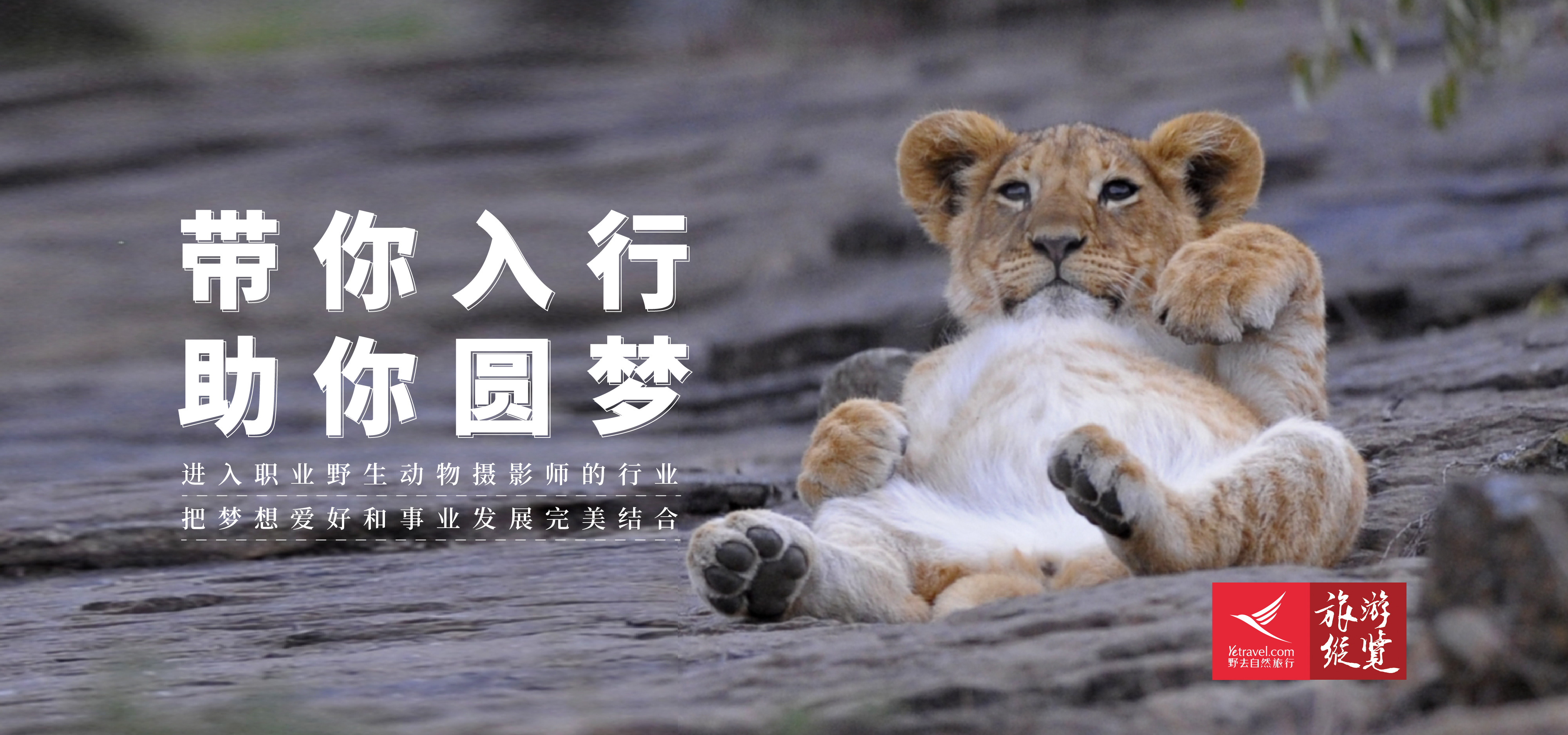 2019.09.27 自然摄影师招募.jpg