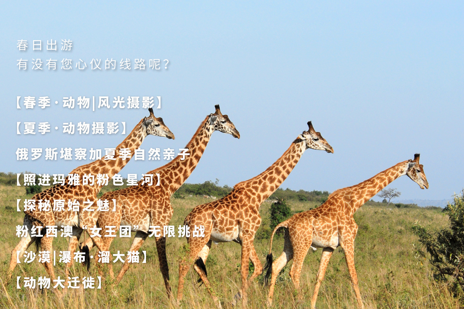 5cdbd4d8c5d0f626e1f276a6296d70e.jpg