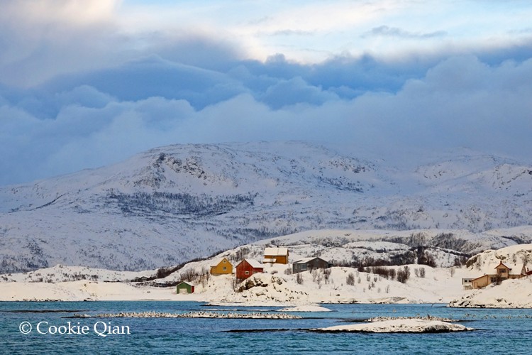 挪威北部冬季帆船包船-多彩的峡湾小镇 (4).jpg