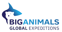 2号Big animals.png