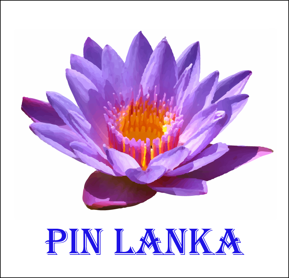 1509591745519260.png