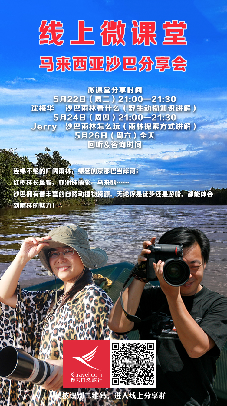 0424肯尼亚线上主题海报-Jerry+化石.jpg