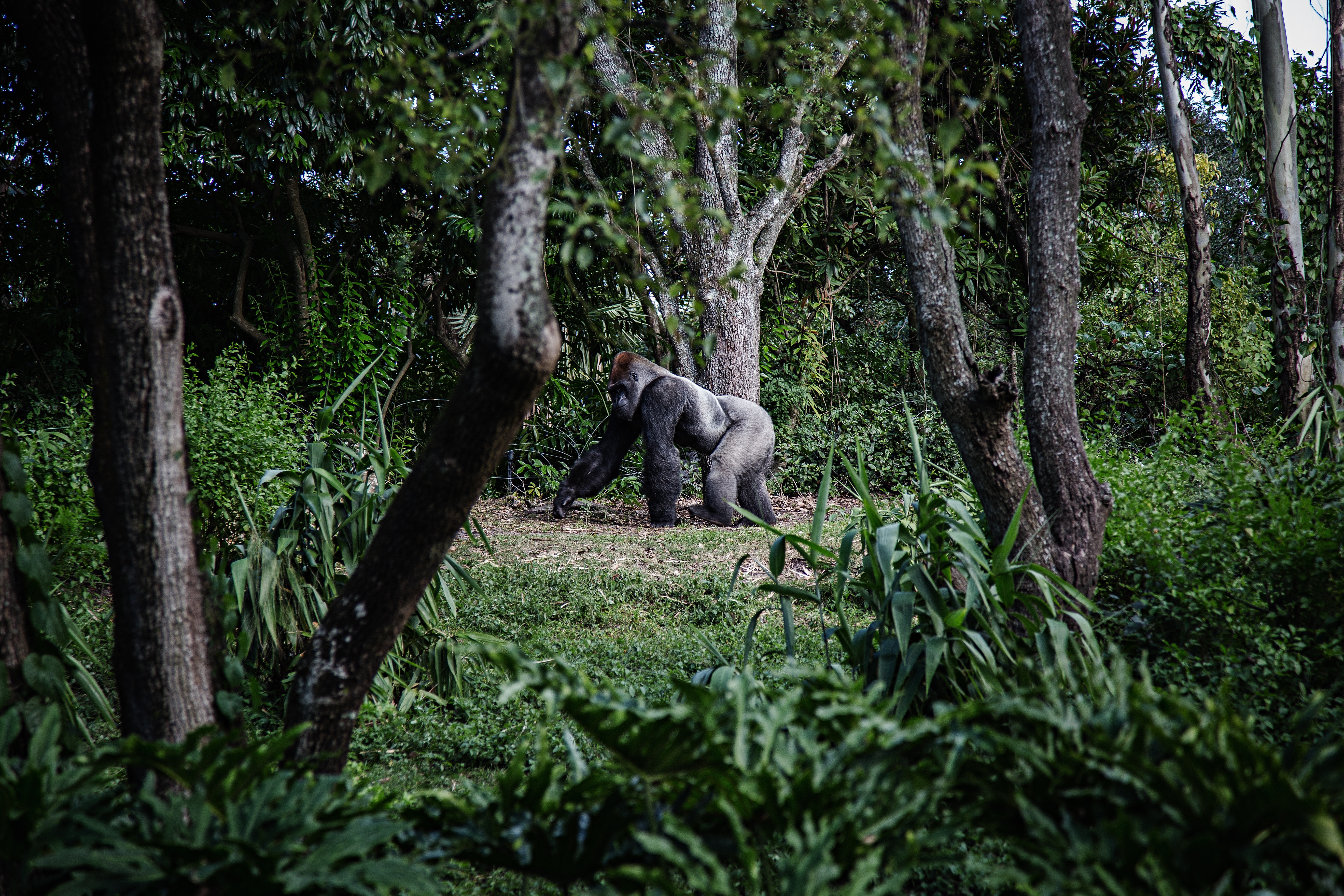 mike-arney-437121-unsplash.jpg