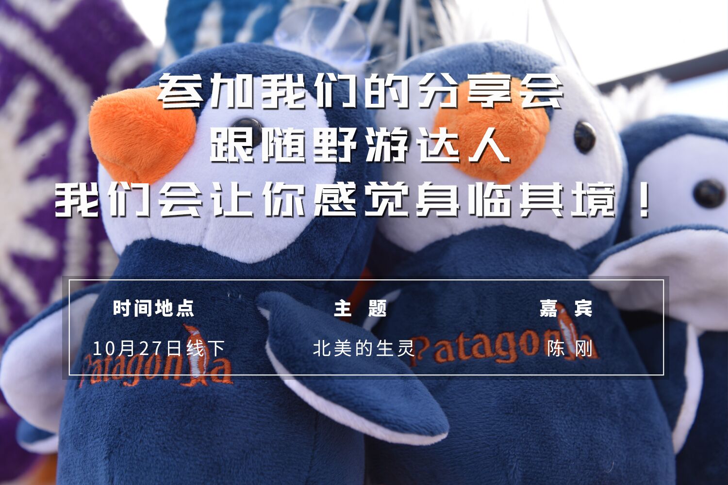 QQ图片20180929105539.jpg